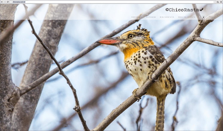 Captura de Tela 2015-02-25 às 10.24.12