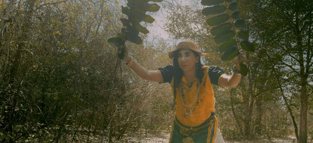 Pôster oficial do filme A&nbsp;CIGANA